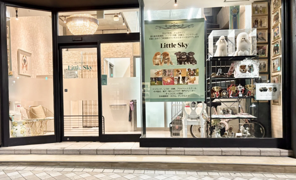 Dog Salon Little Sky 1