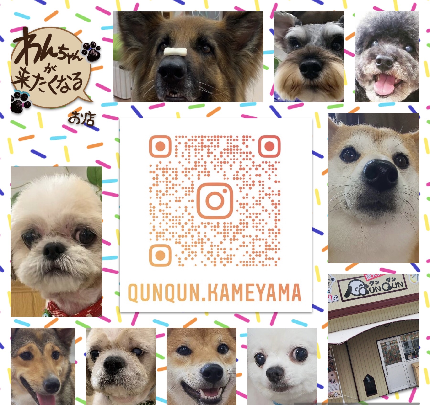 愛犬美容室QunQun　亀山エコー店 2