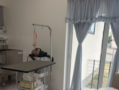 Dog salon LilyBear 5