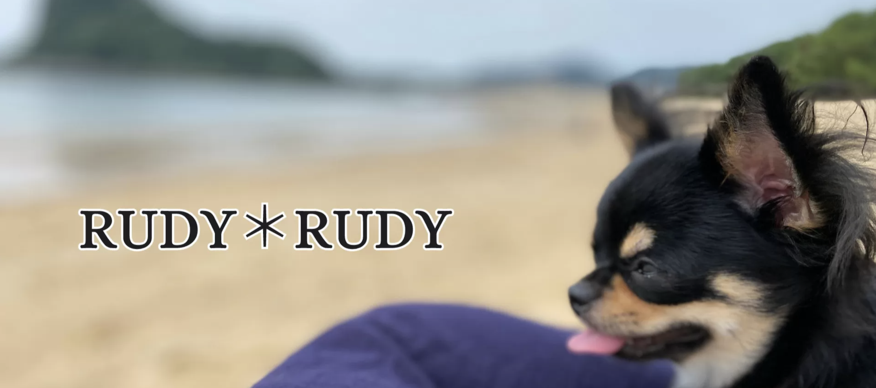 Rudy＊Rudy 1