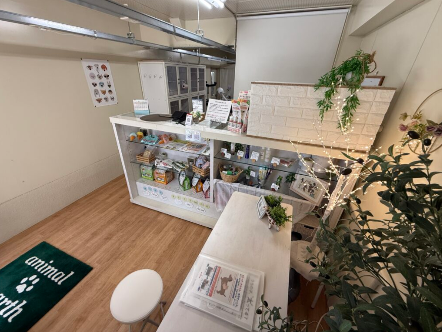 dog salon animal.earth　豊橋花園店 2