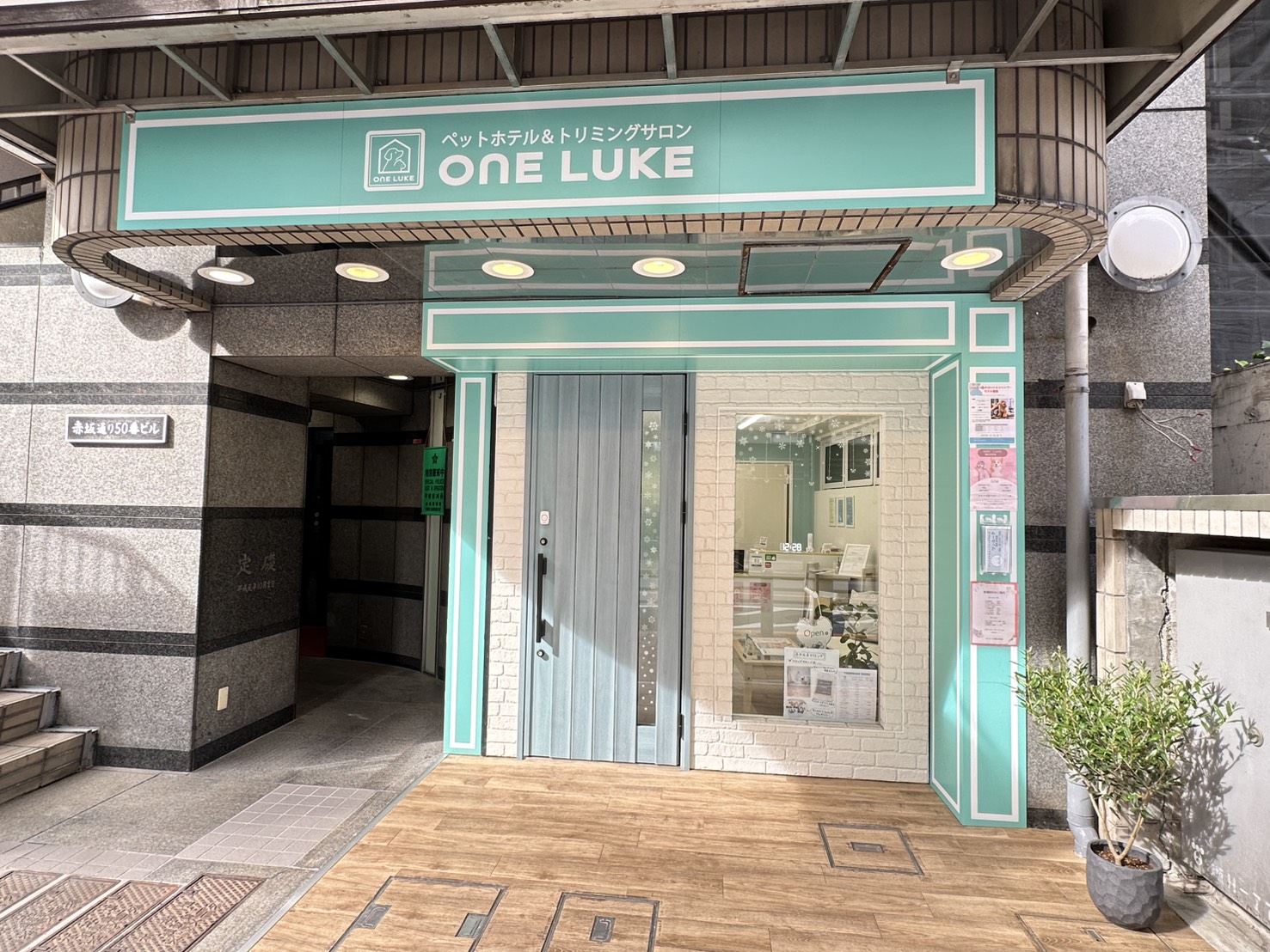 ワンルーク港区赤坂店 1