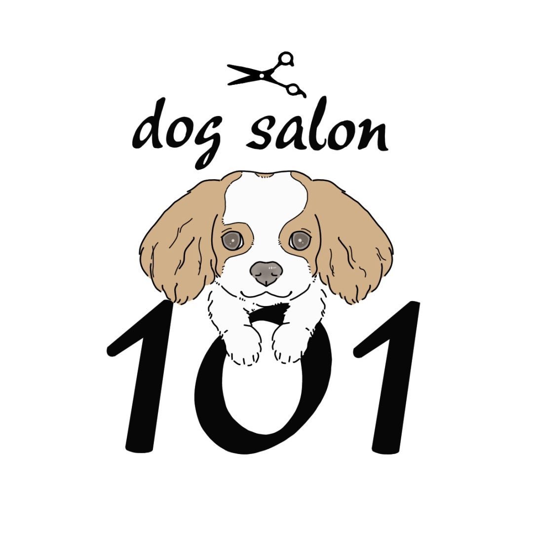 dog salon 101 1
