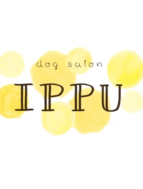 dog salon IPPU 6