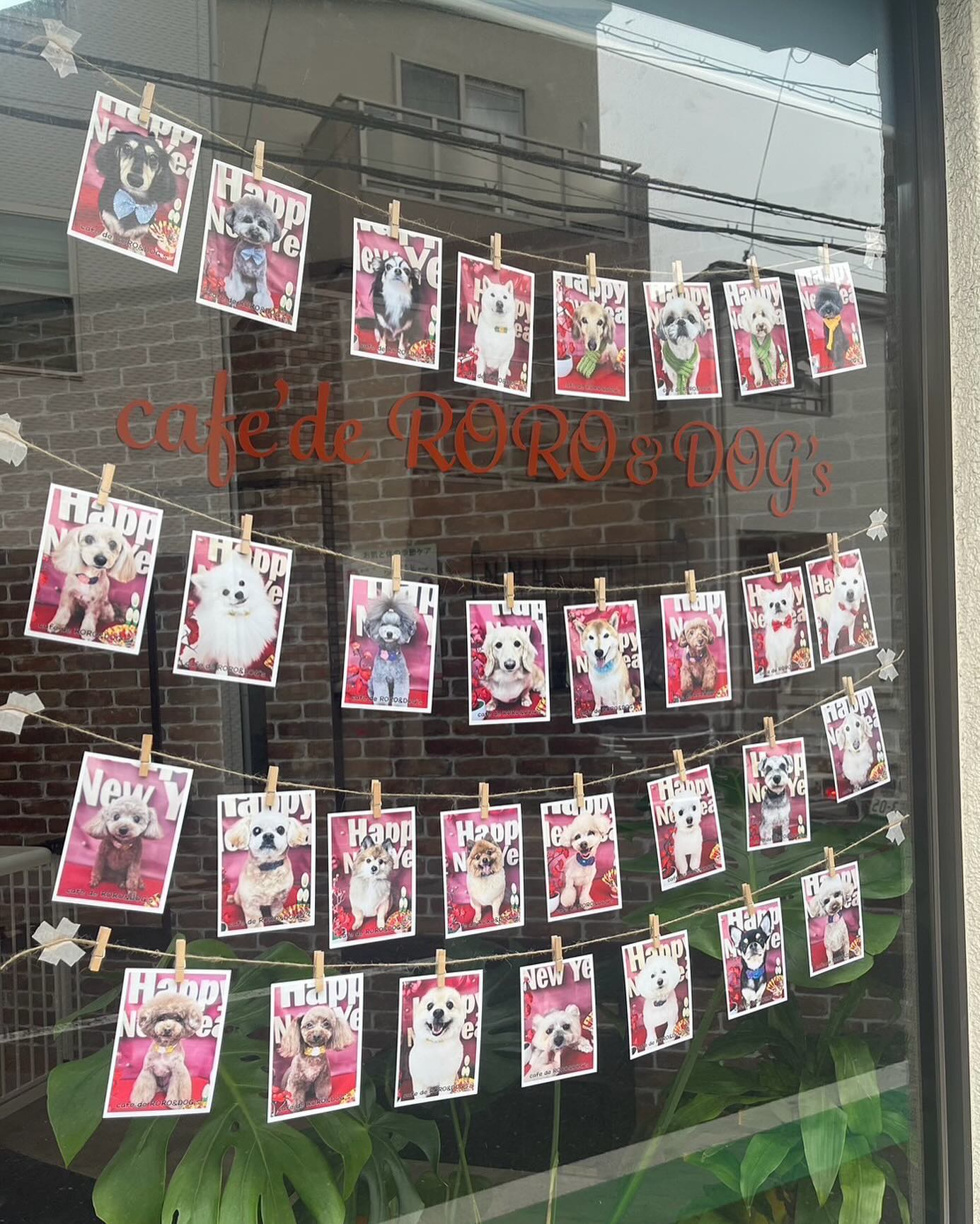 CAFEDERORO&DOGS　寝屋川店 3