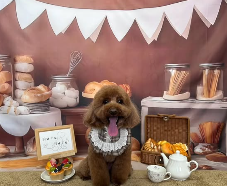 トイプードルのトリミングカット Dog Salon & Spa Huru Huruの1枚目