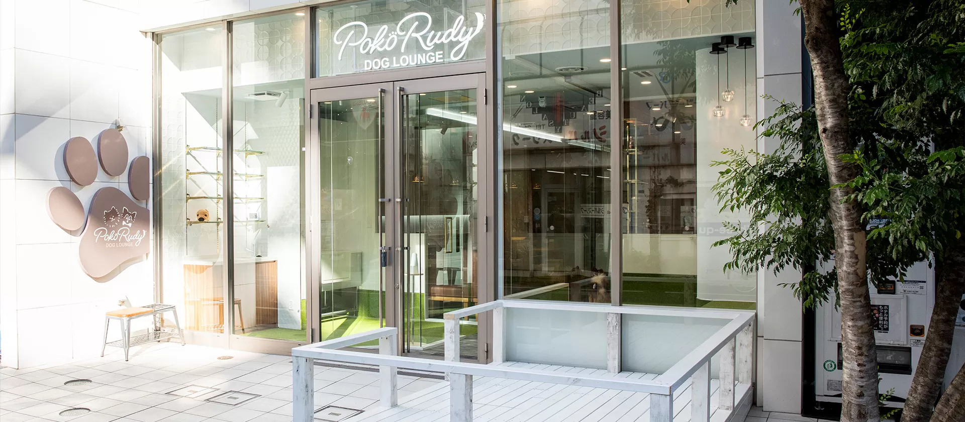 Dog Lounge PokoRudy 8