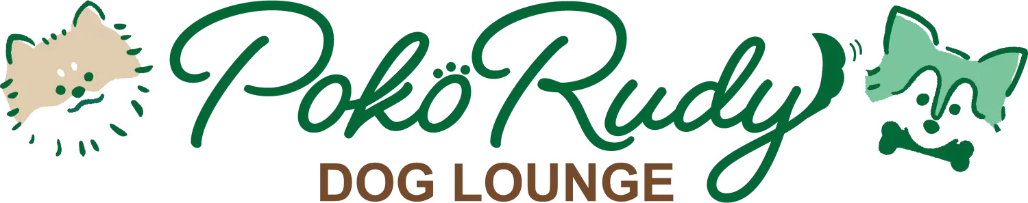 Dog Lounge PokoRudy 1