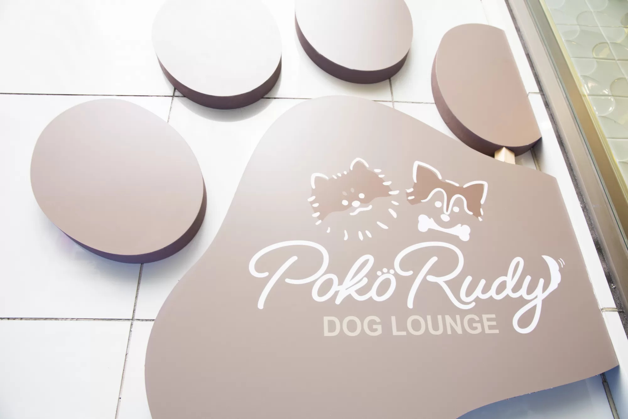 Dog Lounge PokoRudy 6
