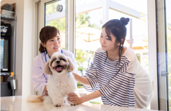 Dog Salon & Hotel moco藤沢店 5