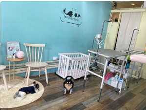 Dog Salon & Hotel moco藤沢店 6