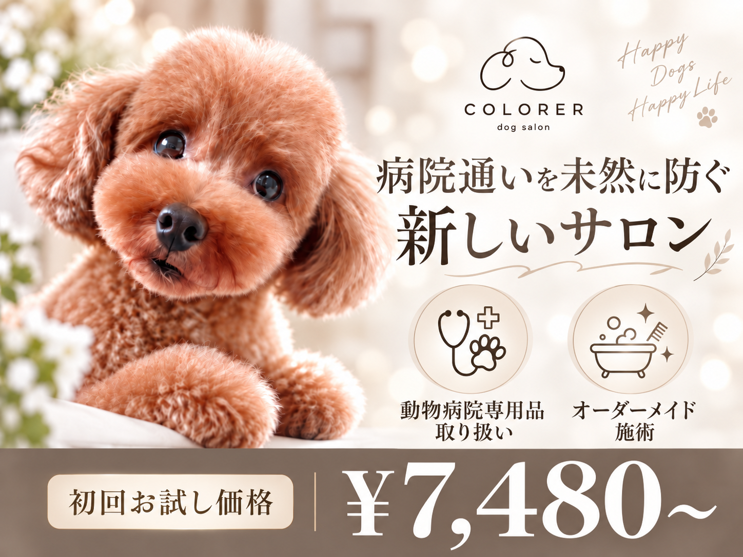 COLORER(クロレ) -dog salon-世田谷店 1