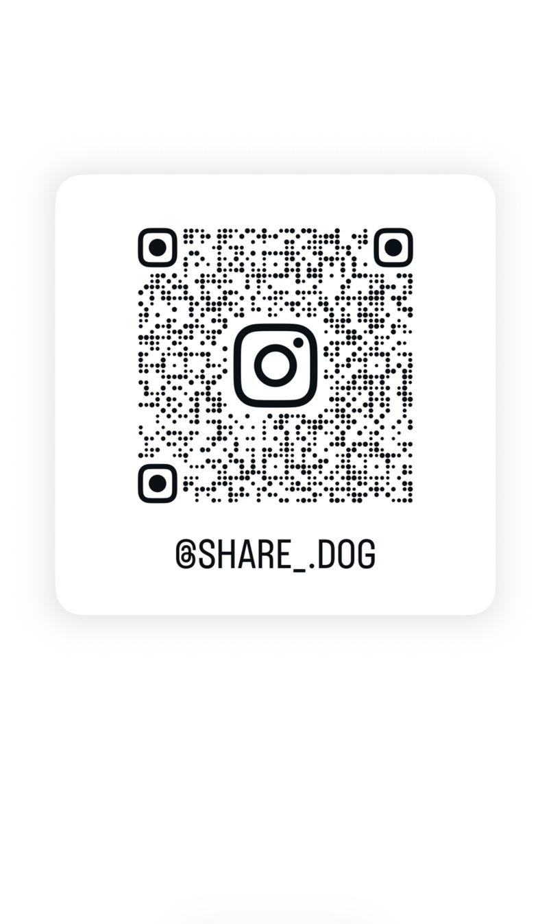 Share dog 6