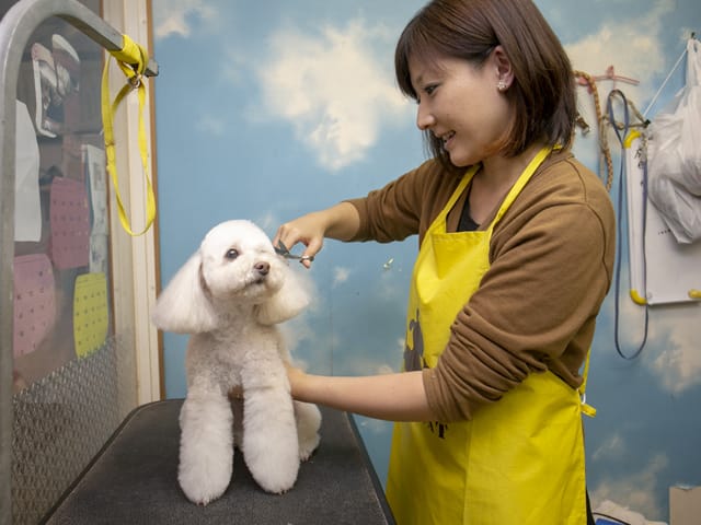 犬猫倶楽部ウィズ 6