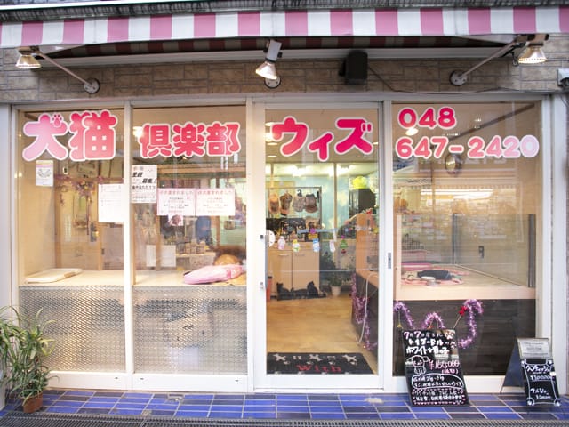 犬猫倶楽部ウィズ 1