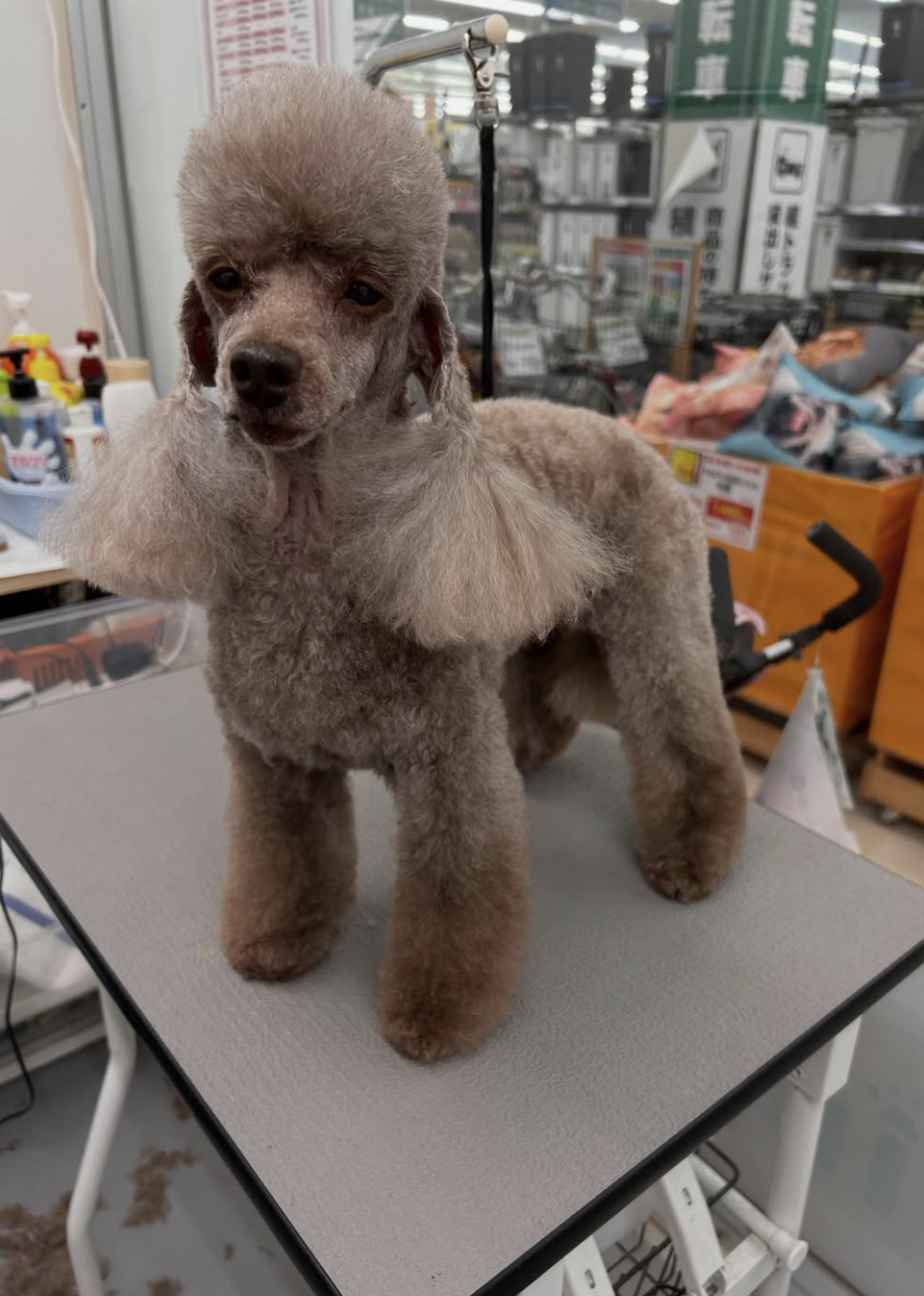 Trimming Salon すぴか 3