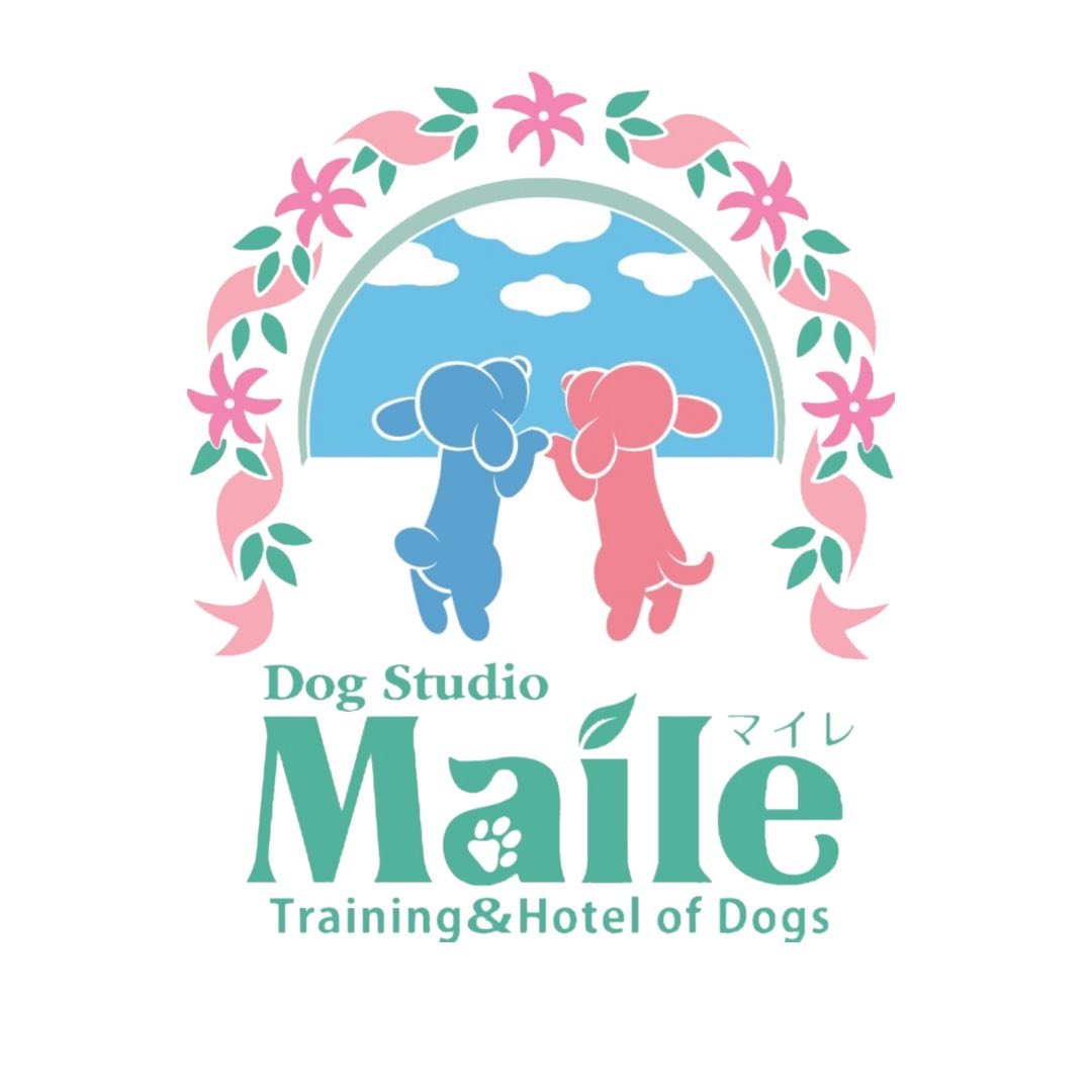 Dog Studio Maile 5