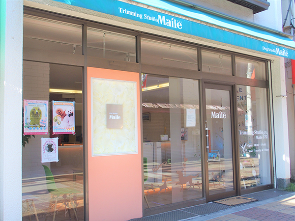 Dog Studio Maile 1