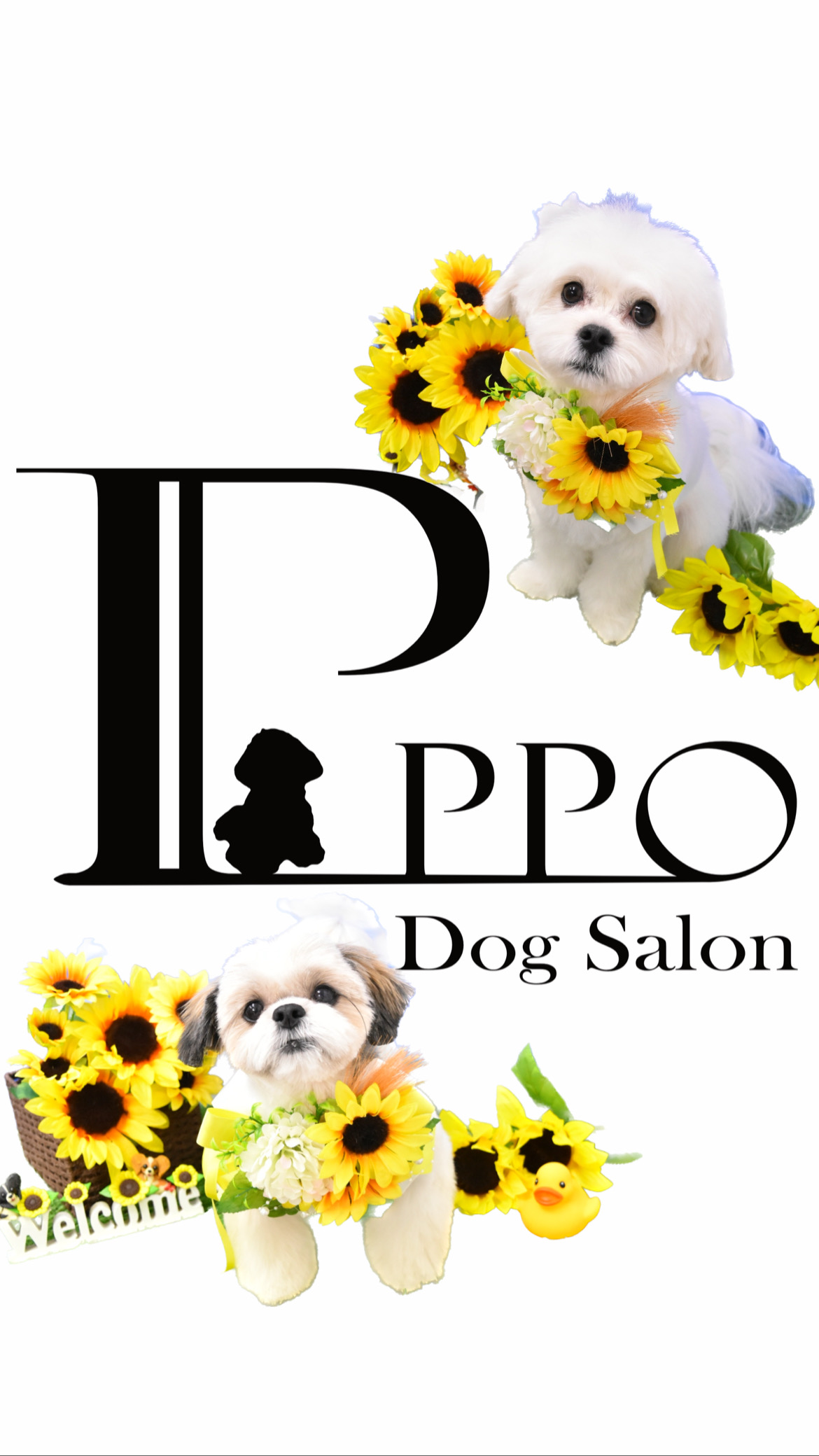 DOGSALONぽっぽ 1