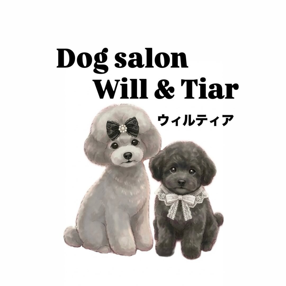 Dog salon Will & Tiar (ウィルティア) 5