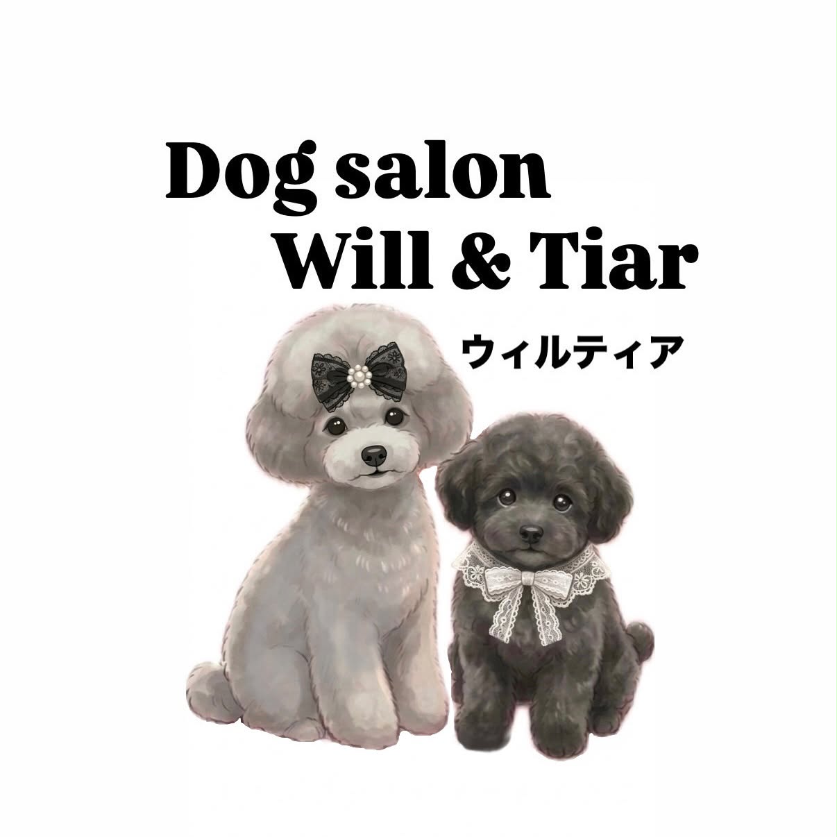 Dog salon Will & Tiar (ウィルティア) 2