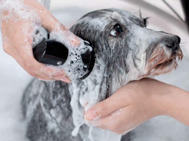DOG SALON NicoPaw 北花田店 14