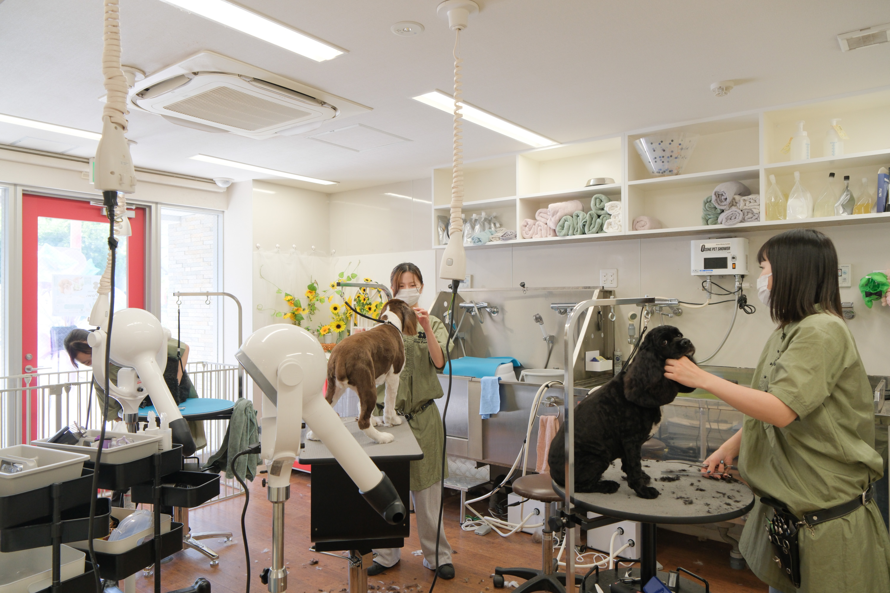 DOG SALON NicoPaw 北花田店 12