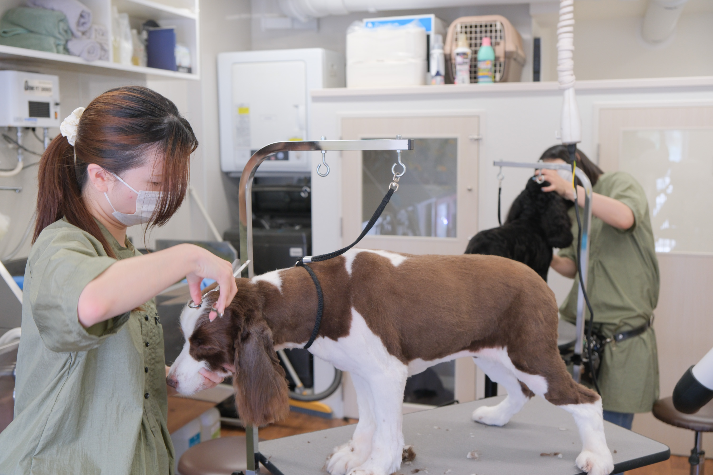 DOG SALON NicoPaw 北花田店 6