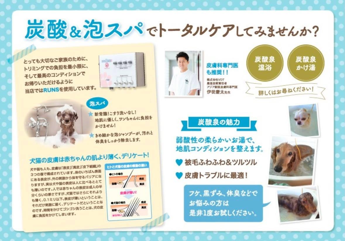 トリミングサロンGIN 5