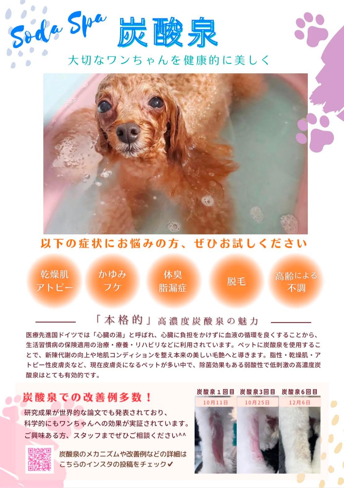 トリミングサロンGIN 3