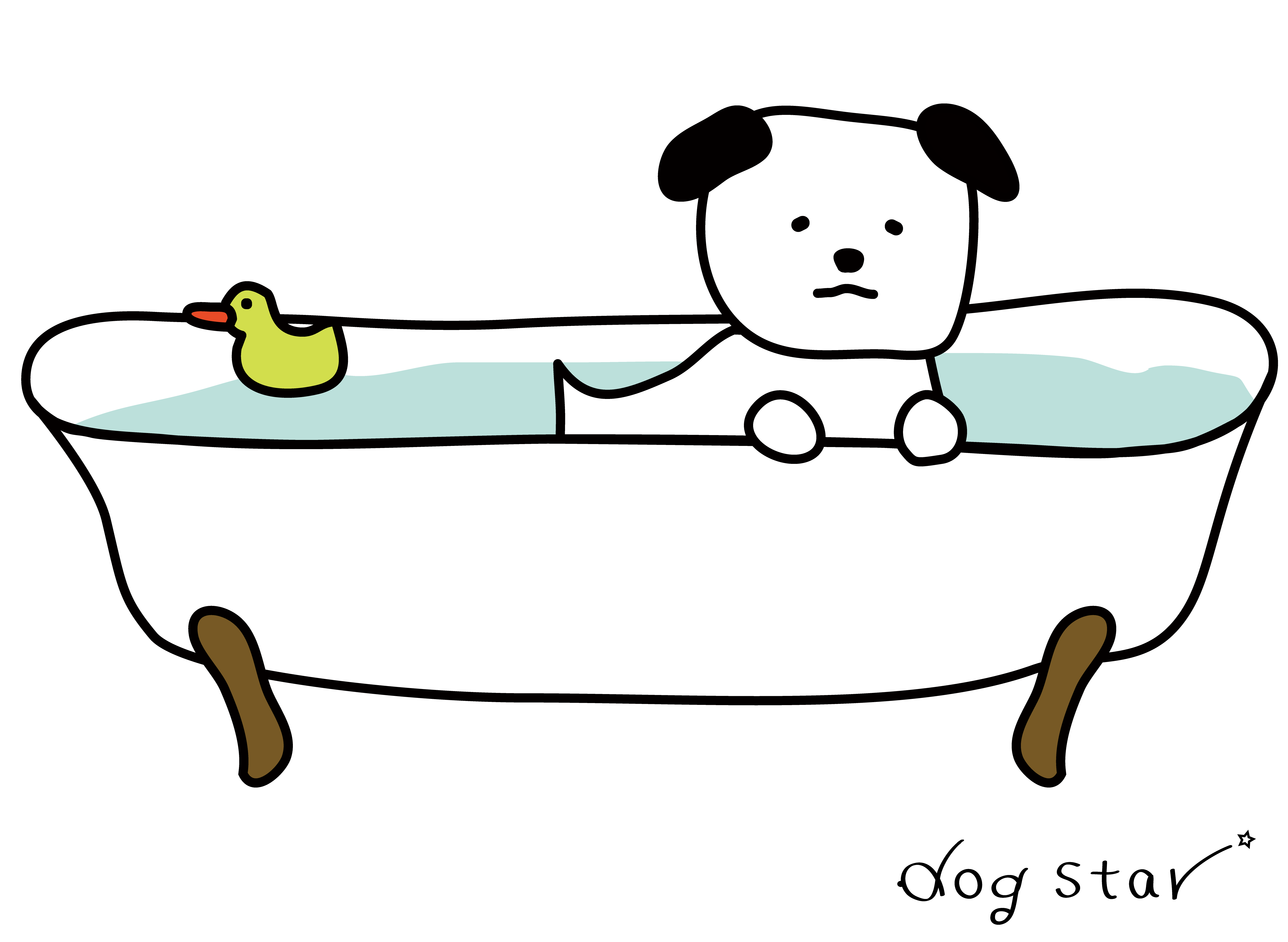 特徴
