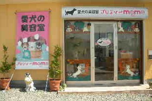 奈良県奈良市のトリミングサロン 愛犬の美容室 プリティーmomoの1枚目