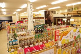ワンちゃんの健康のために、1ヶ月に一度のトリミングをぜひ当店で♪