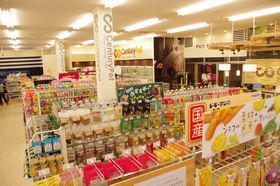 ワンちゃんの健康のために、１ヶ月に一度のトリミングをぜひ当店で♪