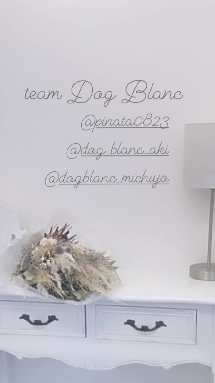 Dog Blanc のサムネイル