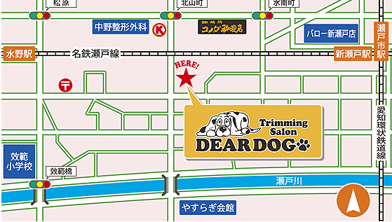 愛知県瀬戸市のトリミングサロン DEAR DOGの2枚目