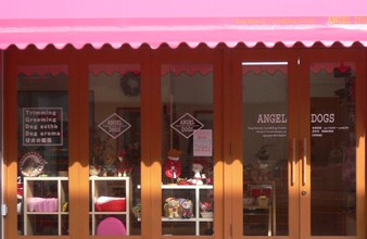 トリミングサロン ANGEL DOGS 能見台店 のサムネイル