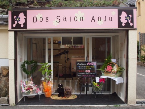 大阪府吹田市のトリミングサロン Dog Salon Anjuの1枚目