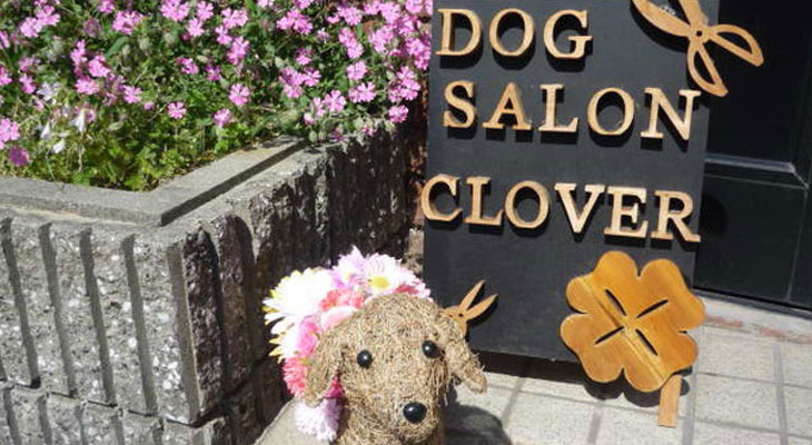 大阪府守口市のトリミングサロン care&grooming Clover（犬の床屋さん　Clover）の3枚目