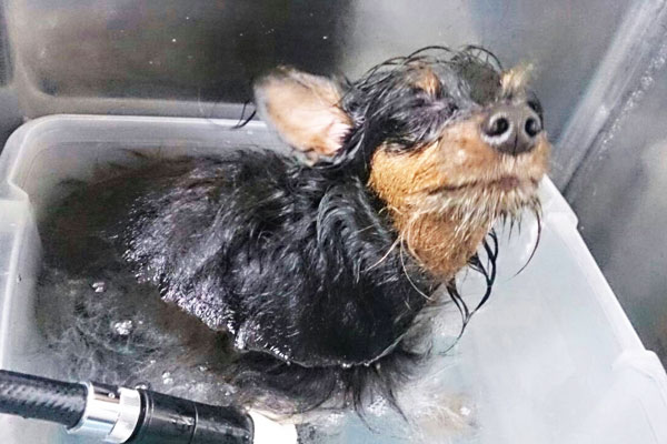 こんなに、いい表情をするほど気持ちいいんです♡