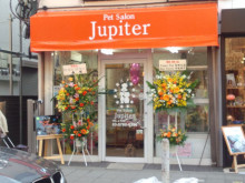 東京都世田谷区のトリミングサロン Pet Salon Jupiterの2枚目
