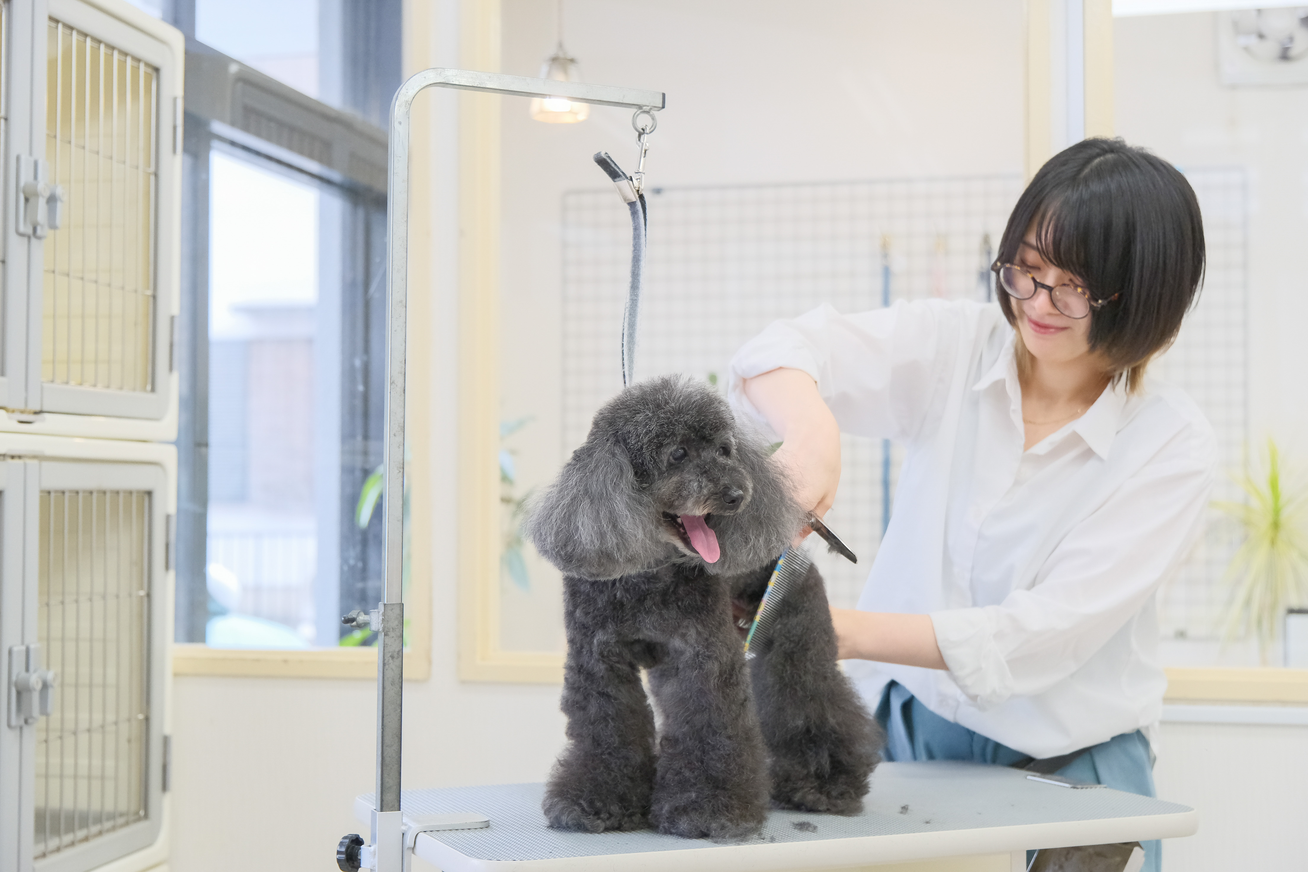 ワンちゃん1頭1頭にあった美容を提供いたします!