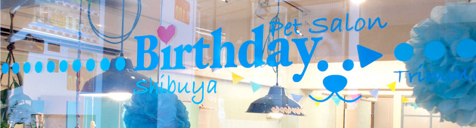 東京都中野区のトリミングサロン Pet Salon Birthday 沼袋店のサムネイル1枚目