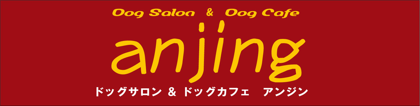 DogSalon & DogCafe anjing 1