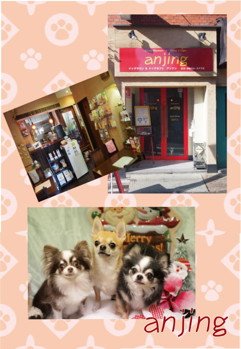 DogSalon & DogCafe anjing 2