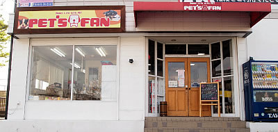 愛知県日進市のトリミングサロン PET'S FAN(ペッツファン)のサムネイル2枚目