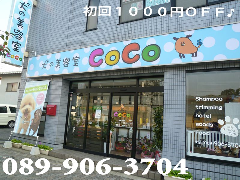 愛媛県松山市のトリミングサロン 犬の美容室　CoCoの1枚目