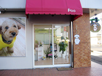 福島県福島市のトリミングサロン 犬の美容＆ホテルPooのサムネイル2枚目