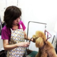 トリミングサロン Dog Salon MERRY DOLLのトリマー 酒井　博美