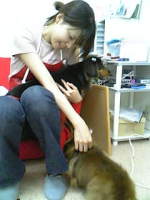 トリミングサロン DOG Salon Rui & Maryのトリマー 矢野　幸恵